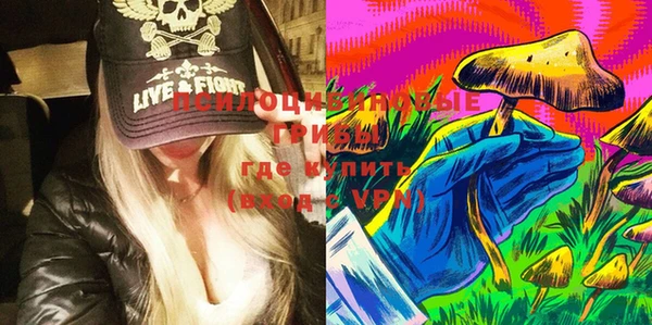 экстази Богородицк