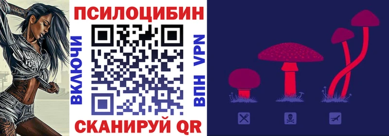 omg вход  Волгореченск  Галлюциногенные грибы Psilocybe 